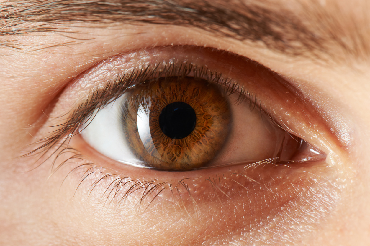 Eye Disease